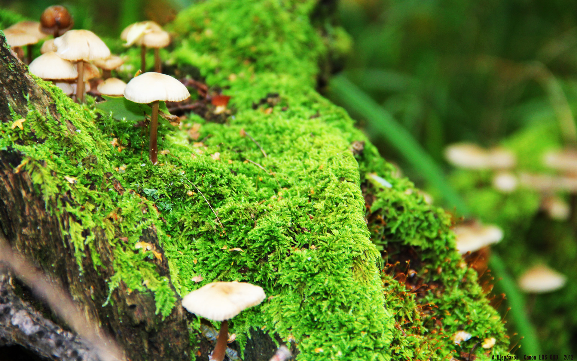 “攻防瞬间,精彩纷呈:这些比赛片段你绝对不能错过!”,攻防比赛环境搭建