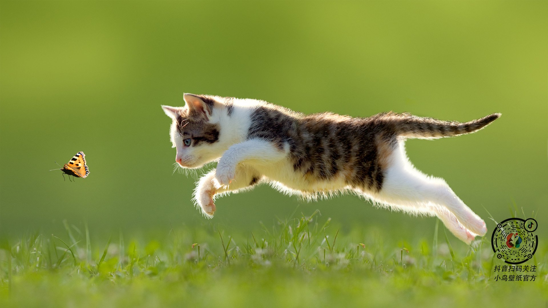 kaiyun体育综合-“青少年足球创新训练体系，提升技能战术水平”，青少年足球培养