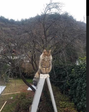 开云官方-《电竞产业新宠：虚拟现实与增强现实技术融合》，虚拟化电子竞技