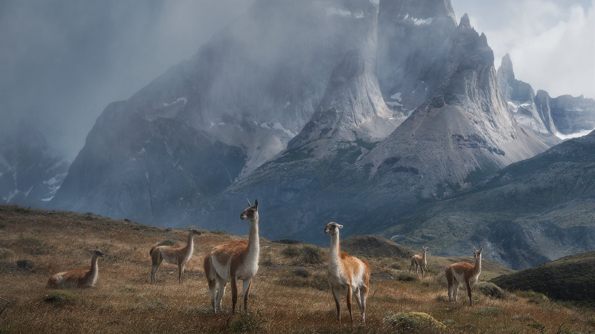 《电竞赛事的多平台联动:直播+短视频+社交新体验》,电竞赛事现场