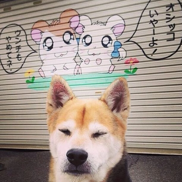 Kaiyun(中国)开云-【比赛尚未结束】新规则下的延长赛逻辑，比赛延迟怎么算