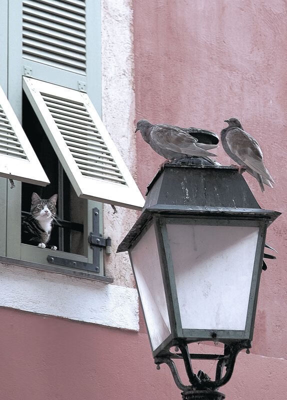 史上最“燃”季后赛夜战,谁的表现最震撼?,季后赛饭堂夜