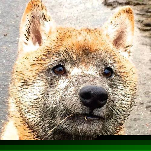 台球装备升级,比赛科技感十足,台球高科技