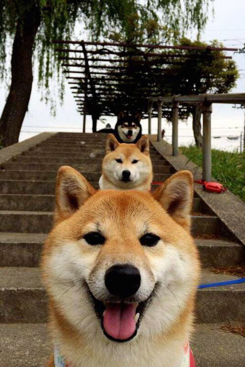 投篮精准:北京队命中率46%,赢得比赛关键优势,篮球 北京队