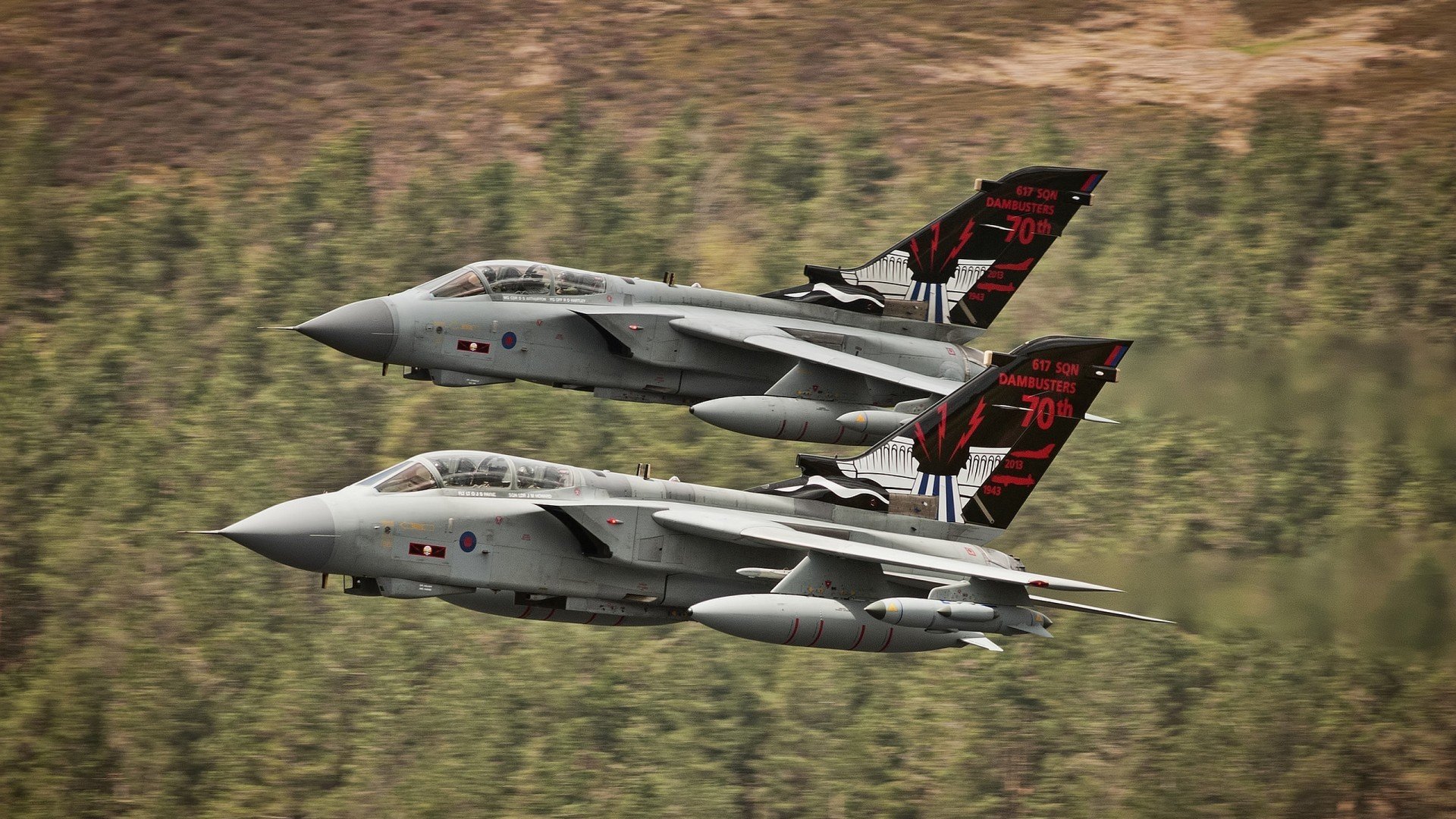 开云官网-排球世界杯中国队进军八强，争夺冠军希望大，排球赛世界杯