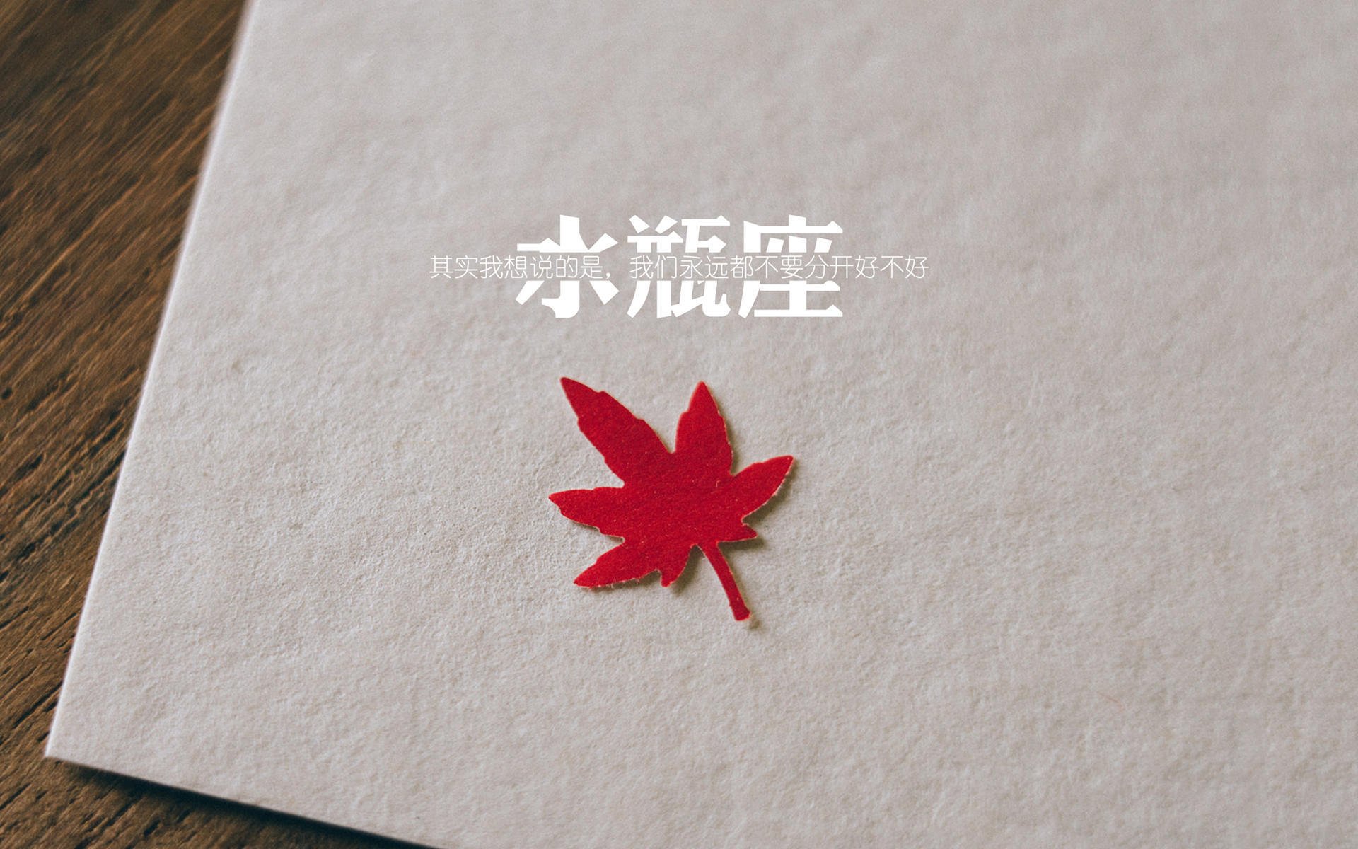 独特粉丝文化:不同国家的狂热展现