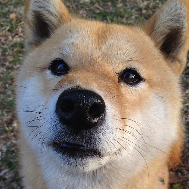 kaiyun开云·官方网站-社交媒体热搜榜：赛后话题引爆网络，社交热词