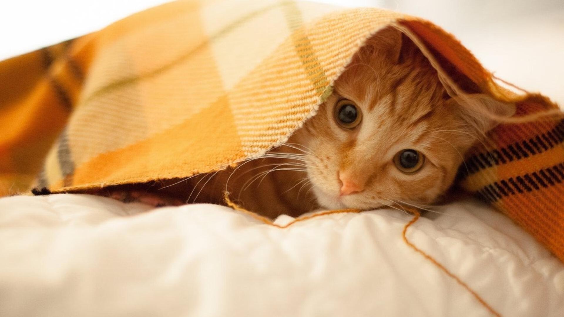 kaiyun官方网站-科技创新：虚拟现实和增强实境开启沉浸新体验，虚拟现实科技企业