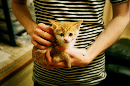 开云·体育官网-裁判判罚争议：制度改革带来的新挑战，裁判思路与裁判规则