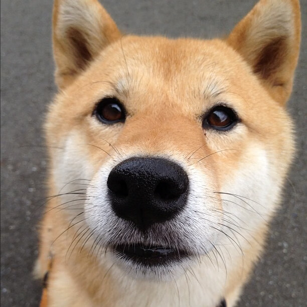 青训成果显现,新一代球员步入国家队,青训球员定义