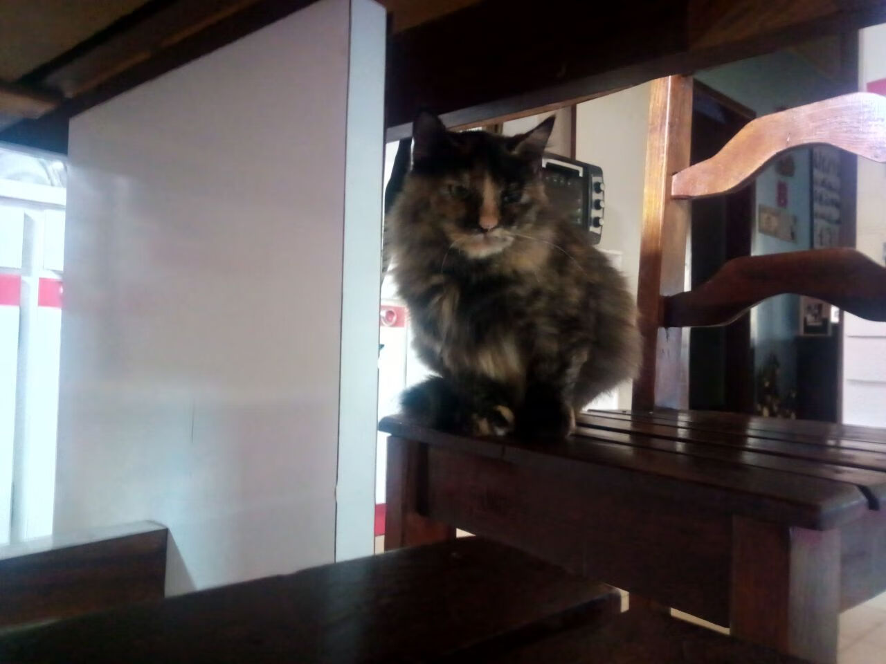 kaiyun中国官方网站-G联赛球队关注年轻球员发展，g联赛赛程