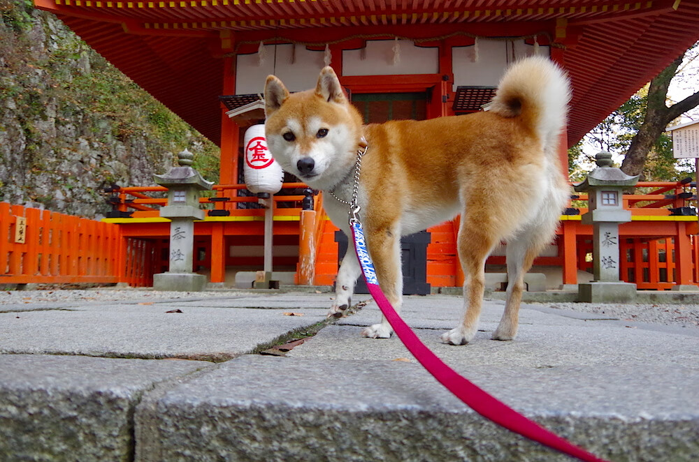 kaiyun官方入口登录-NBA球队交易市场活跃，nba球队交易价格