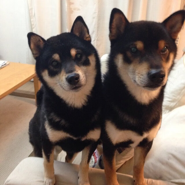 开云入口-切尔西女足球员社区服务活动，切尔西女足队长