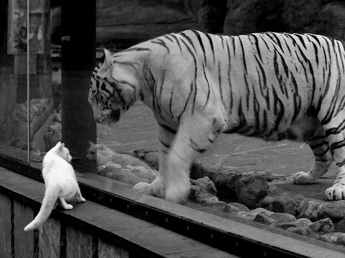 开云体育-博卡青年攻防转换效率提升，博卡青年战绩500